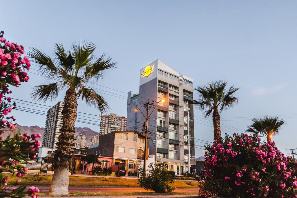 Alto Del Sol Costanera Antofagasta Hotel Antofagasta